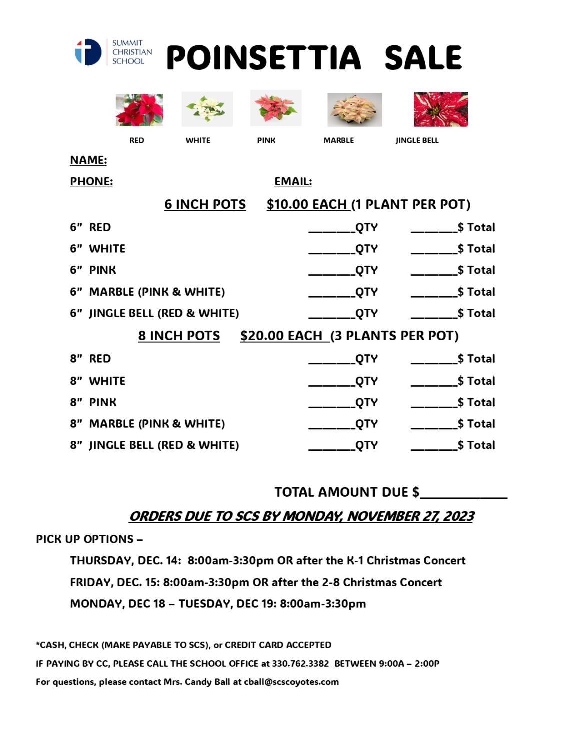 Poinsettia sale